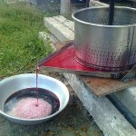 пресс для сока в эксплуатации