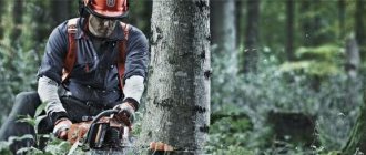 Угол заточки цепи бензопилы штиль